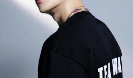 吃瓜娱乐圈王嘉尔是谁呀,娱乐圈的瓜中明星